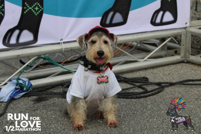 Run for Love 2024